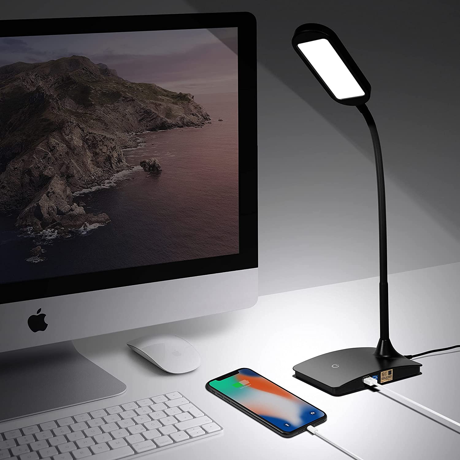 TW Lighting IVY20-40BK Ivy LED Desk Lamp with USB Port for Home Office - Super Bright Small Desk Lamp, FOB KS