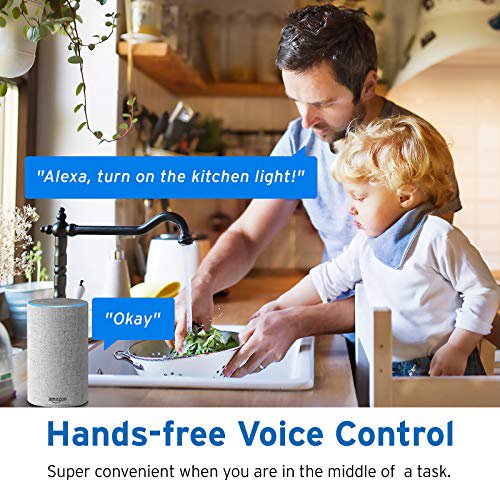 Etekcity Smart In-wall Light Switch with WiFi and Timer (2-Pack), FOB KS